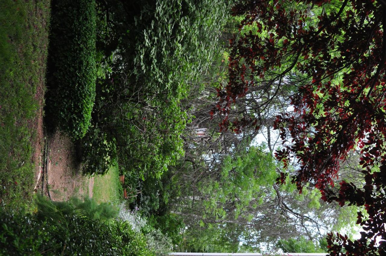 Holmhurst Guest House Bathurst Bagian luar foto
