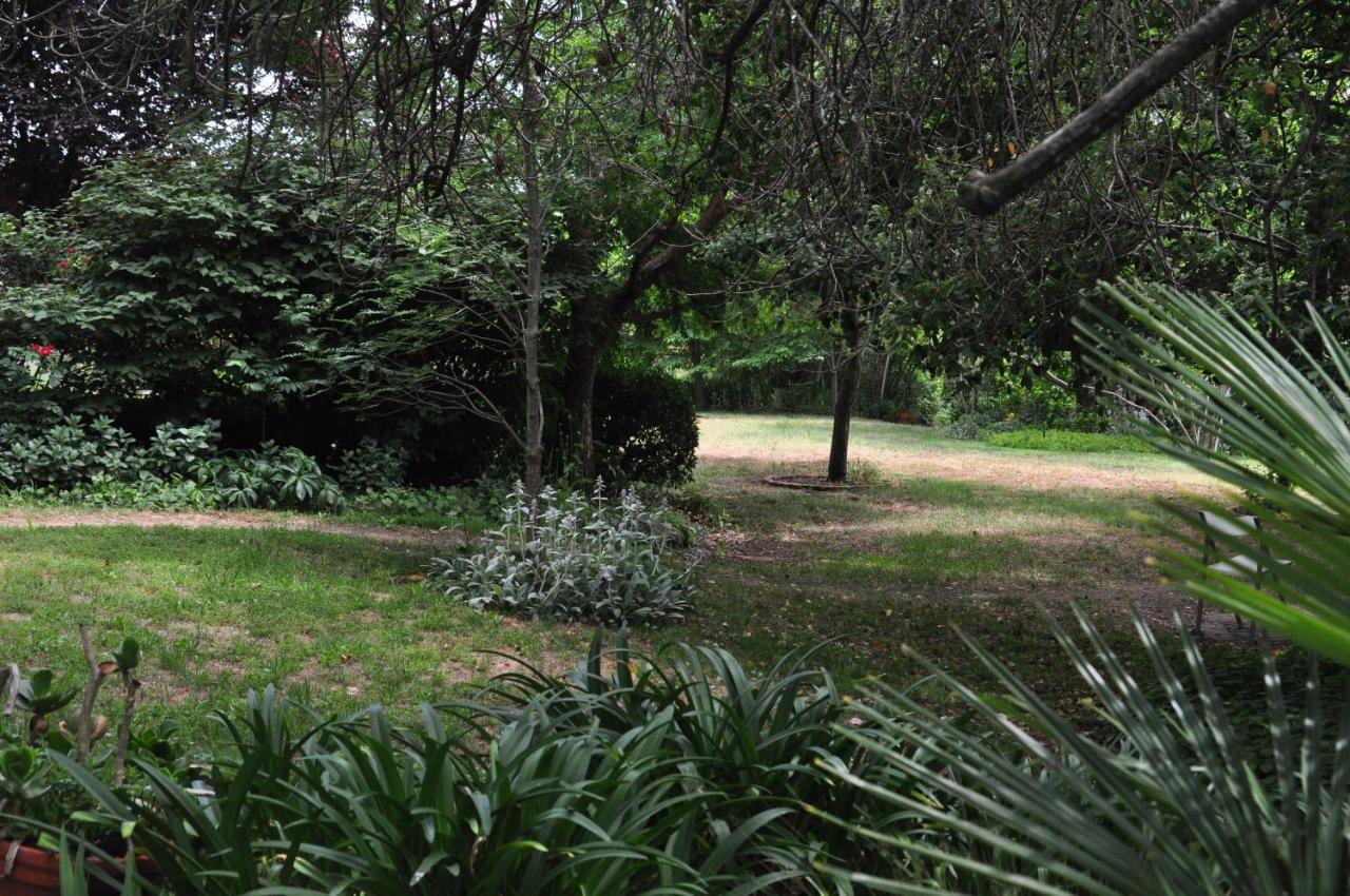 Holmhurst Guest House Bathurst Bagian luar foto